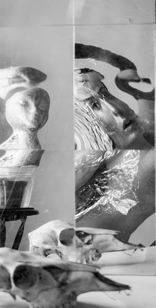 faces